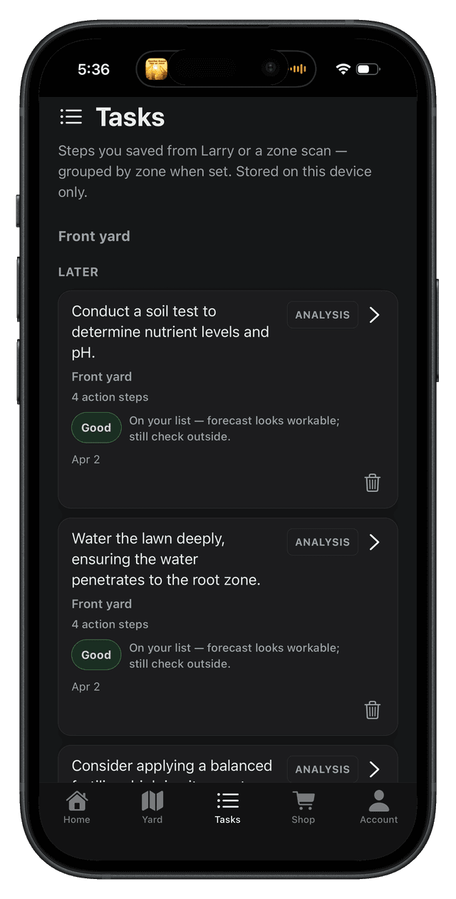 Tasks view